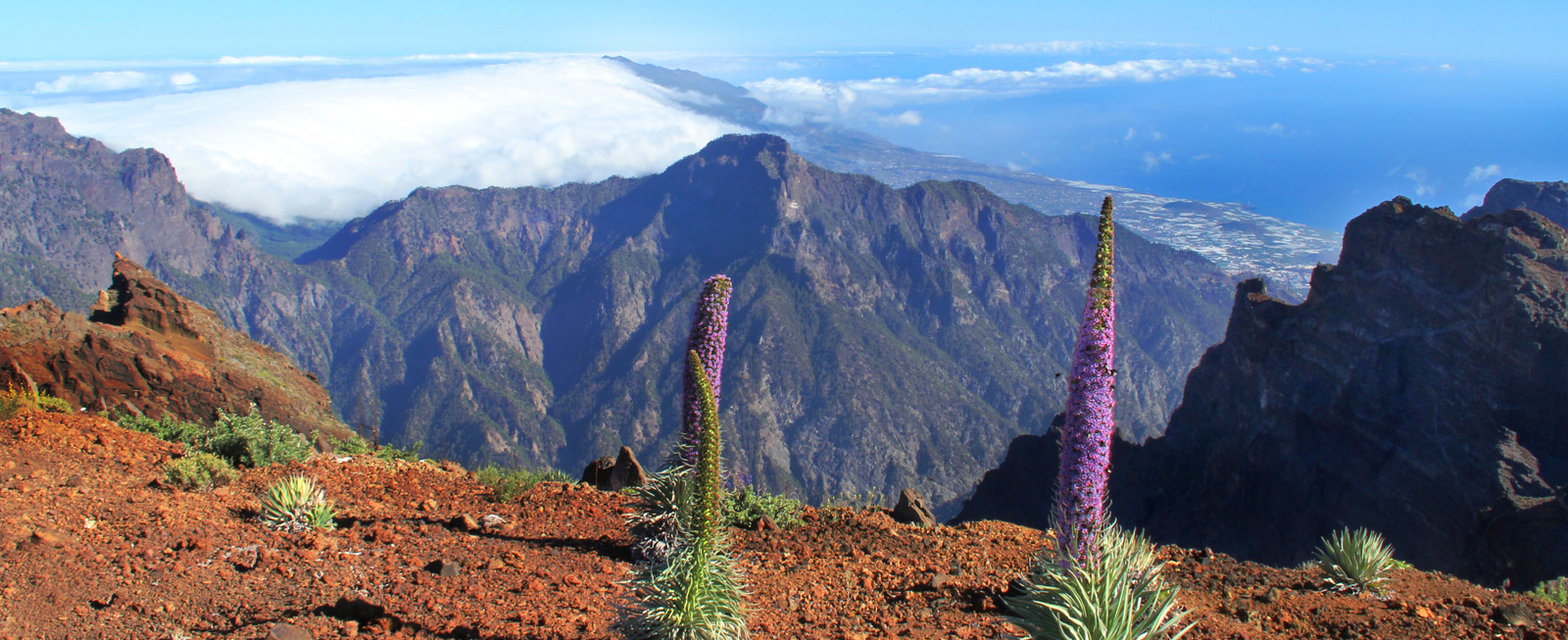 La Palma – Grüne Insel im Atlantik – Informationen zu Freizeit, Sport, Kultur und Leben auf La Palma